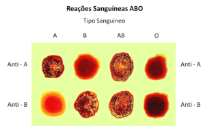 Reações Sanguíneas ABO