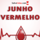 A Importância do Junho Vermelho e do Dia Mundial do Doador de Sangue